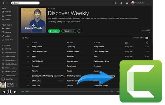 spotify music zu camtasia hinzufügen