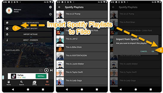 fildo spotify zu mp3 konverter kostenlos android