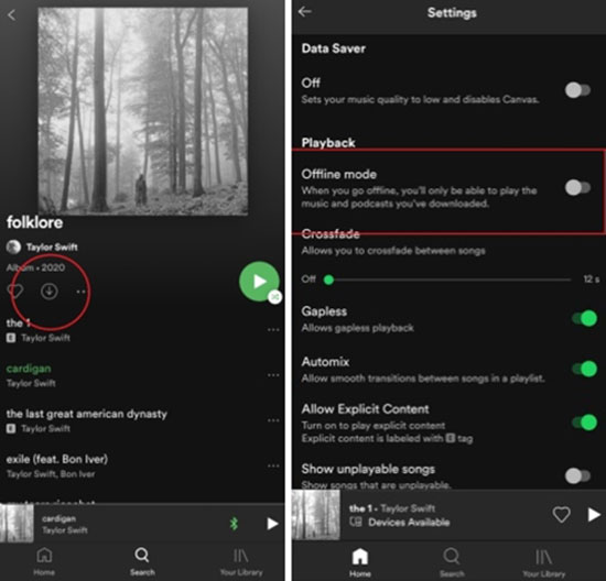 spotify heruntergeladene songs offline anhören