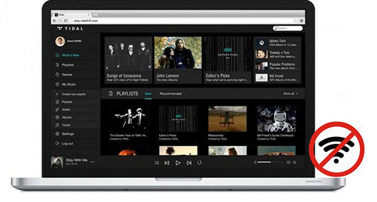 tidal offline pc