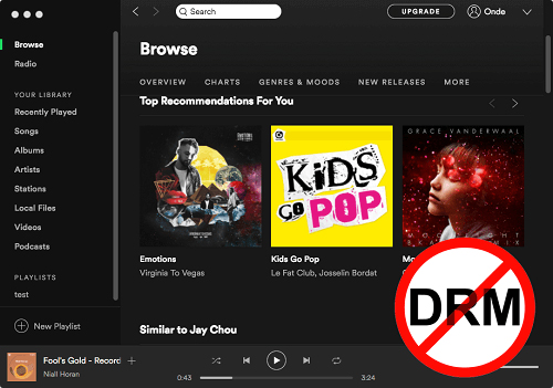 drm von spotify entfernen