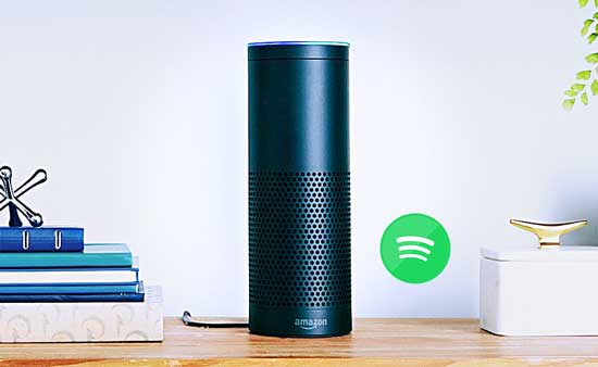 spotify musik auf amazon echo abspielen