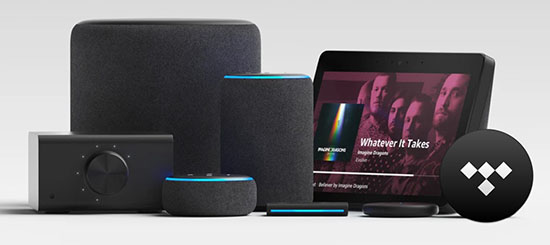 tidal auf amazon echo abspielen