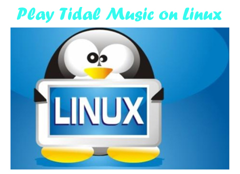 tidal auf linux abspielen
