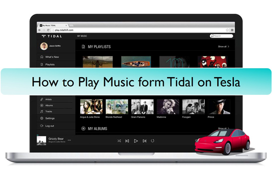 tidal auf tesla