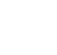 musikbibliothek verwalten