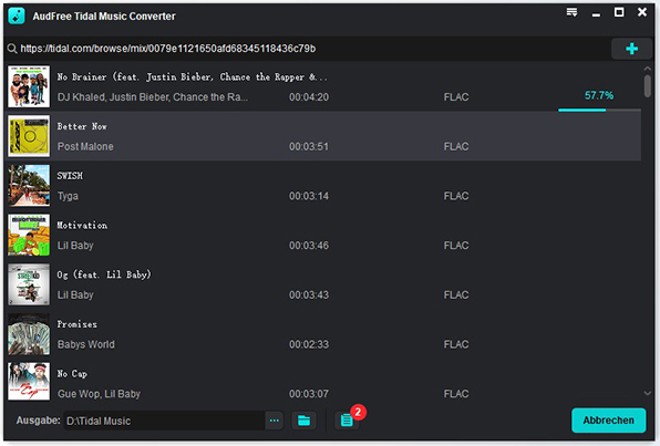 tidal music downloader starten